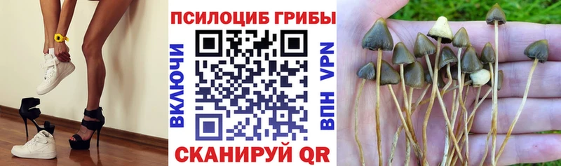 Галлюциногенные грибы мухоморы купить наркоту Горячий Ключ